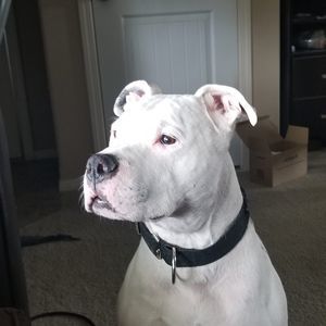 Meet your Posher, Aaron